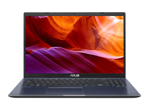 ASUS ExpertBook P1 P1510CDA-BQ1219